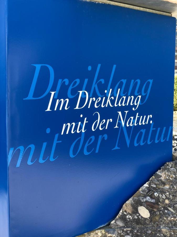 Vitallgaeu-Neues Studio Mit Koenigscard Pfronten Kültér fotó